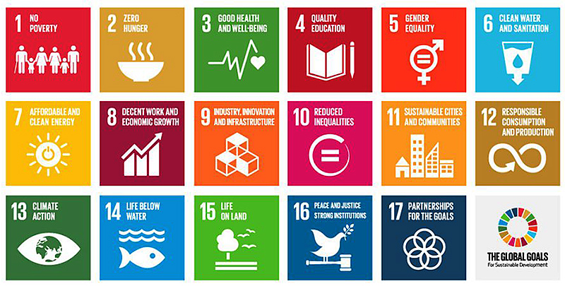 Icons: UN Sustainability Goals. Source: UN