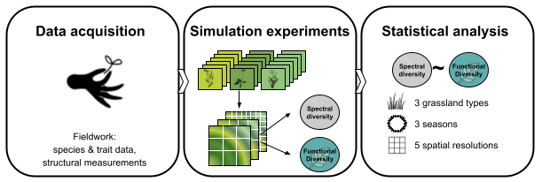 Methodological approach