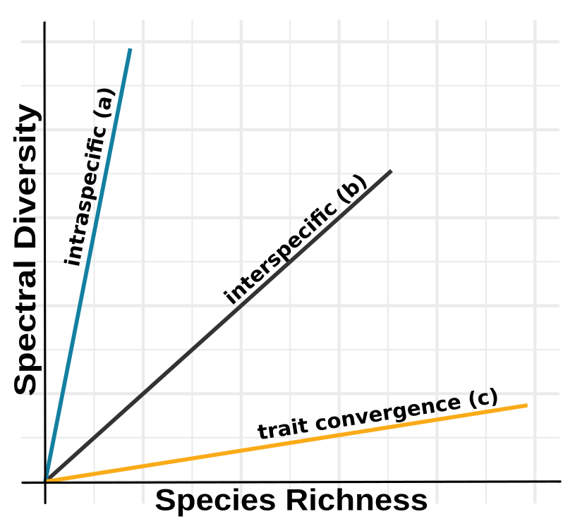 Trait expressions on the relationship between spectral diversity and species richness