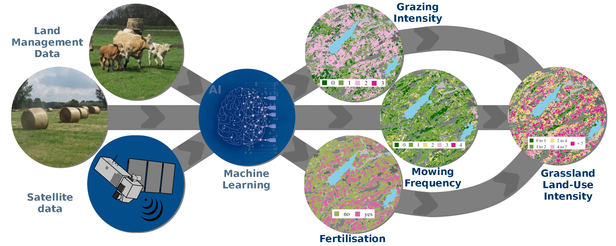 Methods and results deriving land-use intensity in grasslands