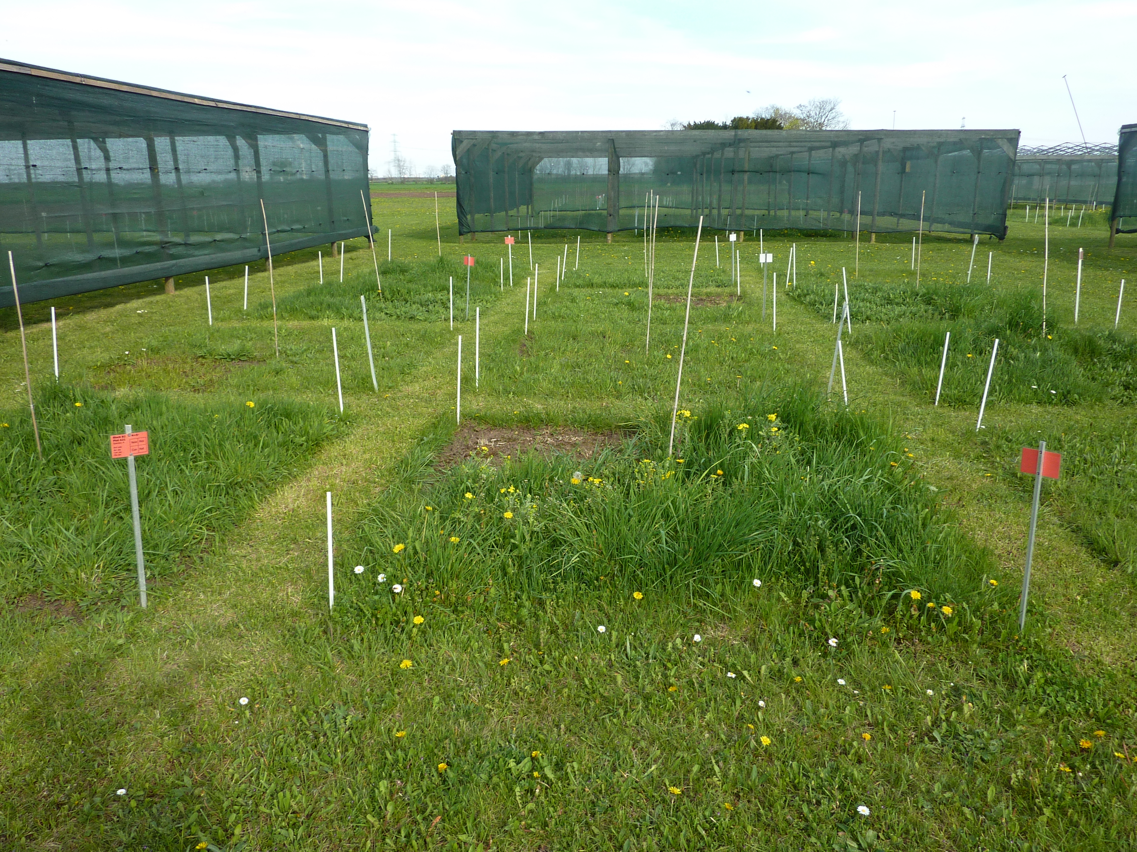 The DivResource Experiment