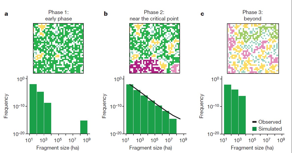 successional stages of benthic communities