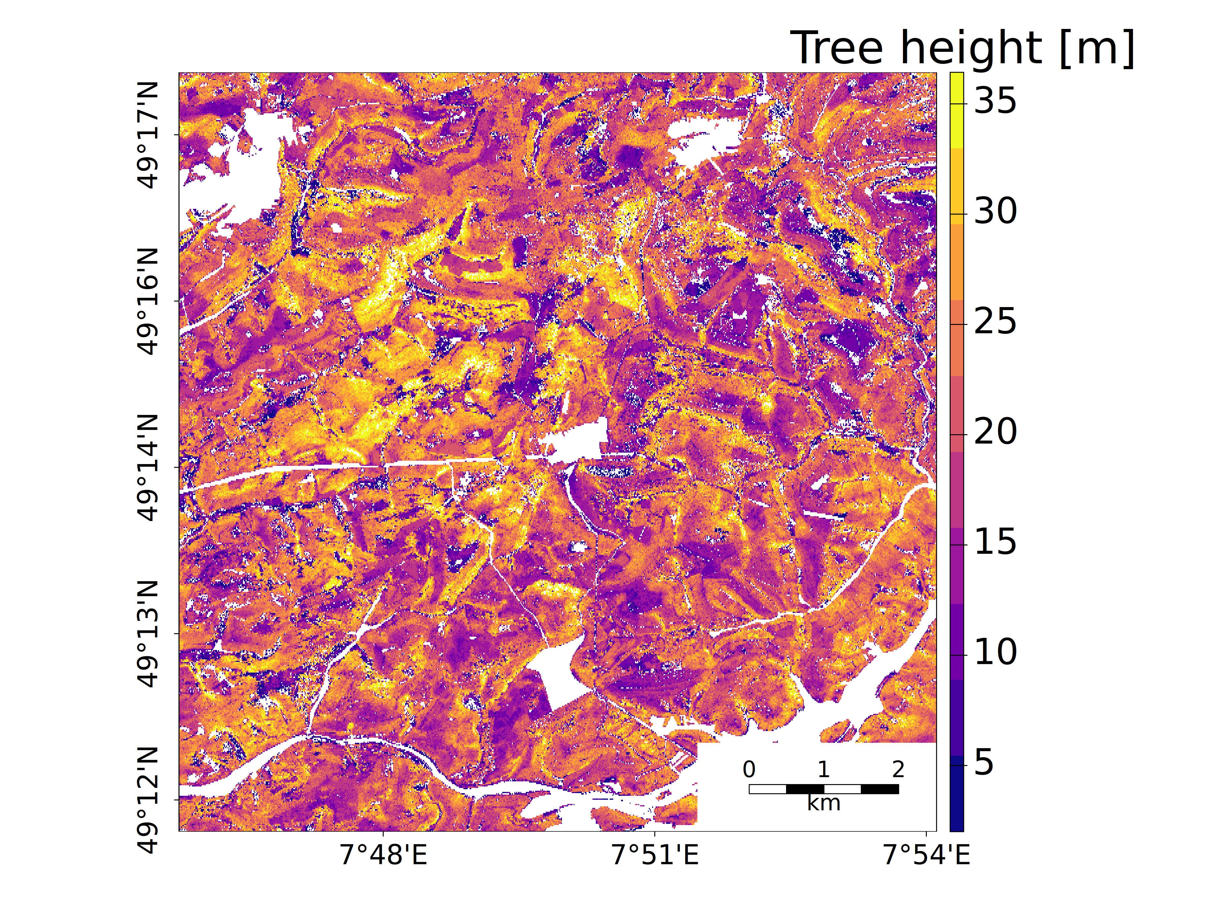 Abgeleitete Baumkronenh&ouml;he f&uuml;r Teile des Pfl&auml;lzer Waldes (  &copy; GeoBasis-DE / BKG 2016 / 2020)