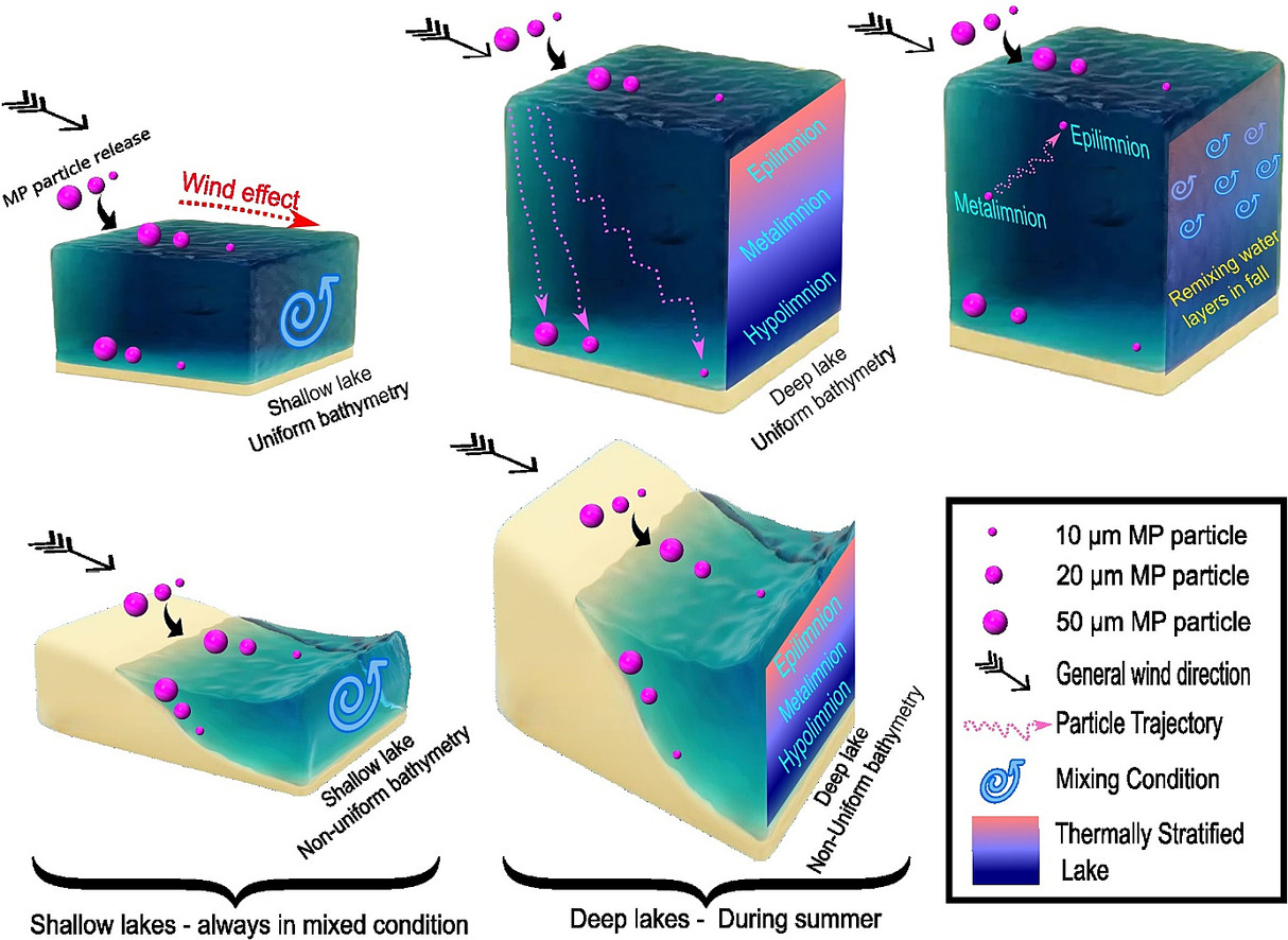 Fate of microplastic particles in standing waters and lakes