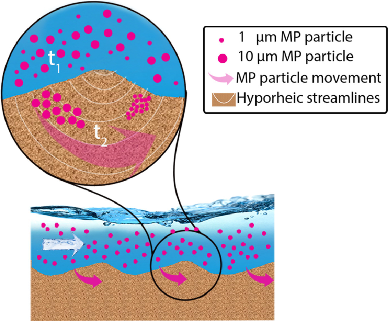 Fate of microplastic particles in fluvial systems and hyporheic zone
