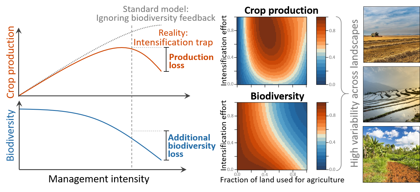 Fig. 1: Emergence of intensification traps in agricultural landscapes.