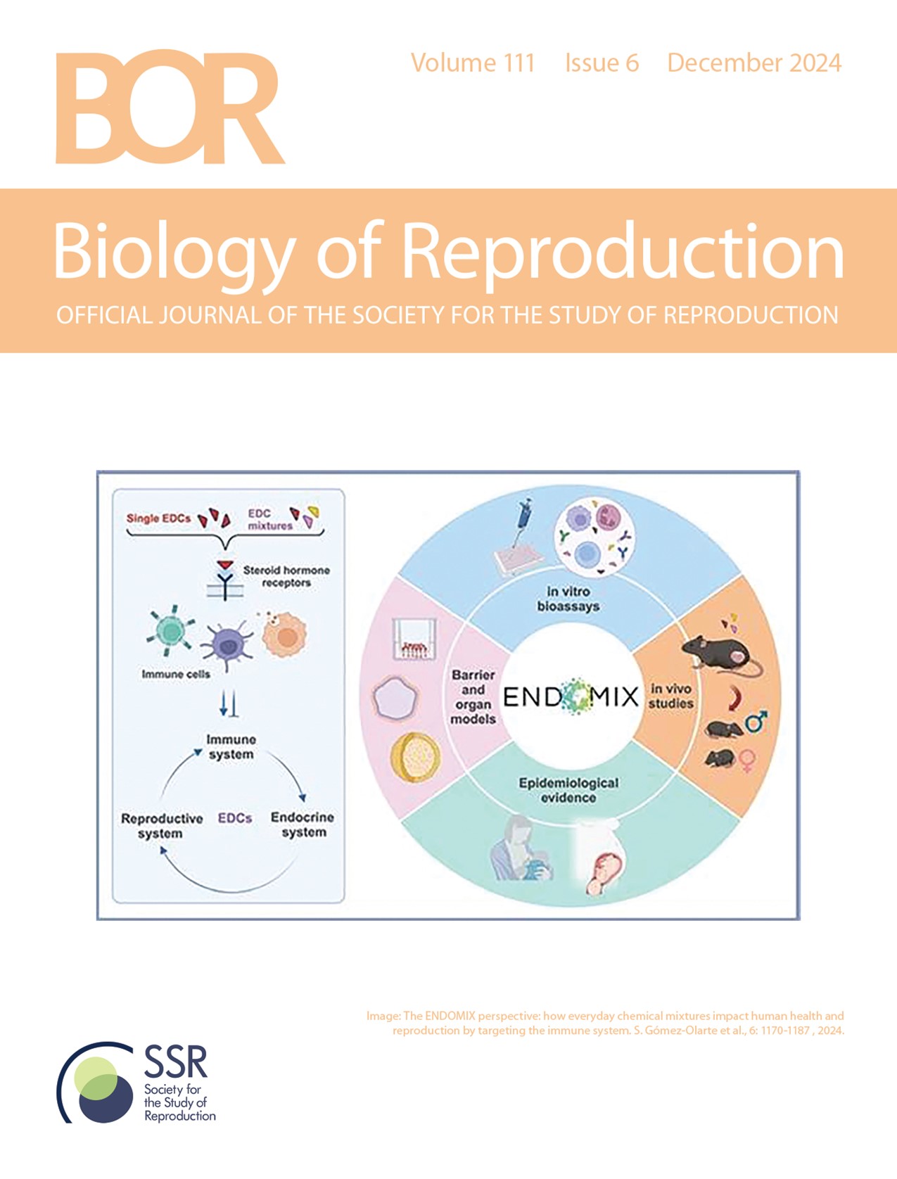 Biology of Reproduction, Volume 111, Issue 6, December 2024