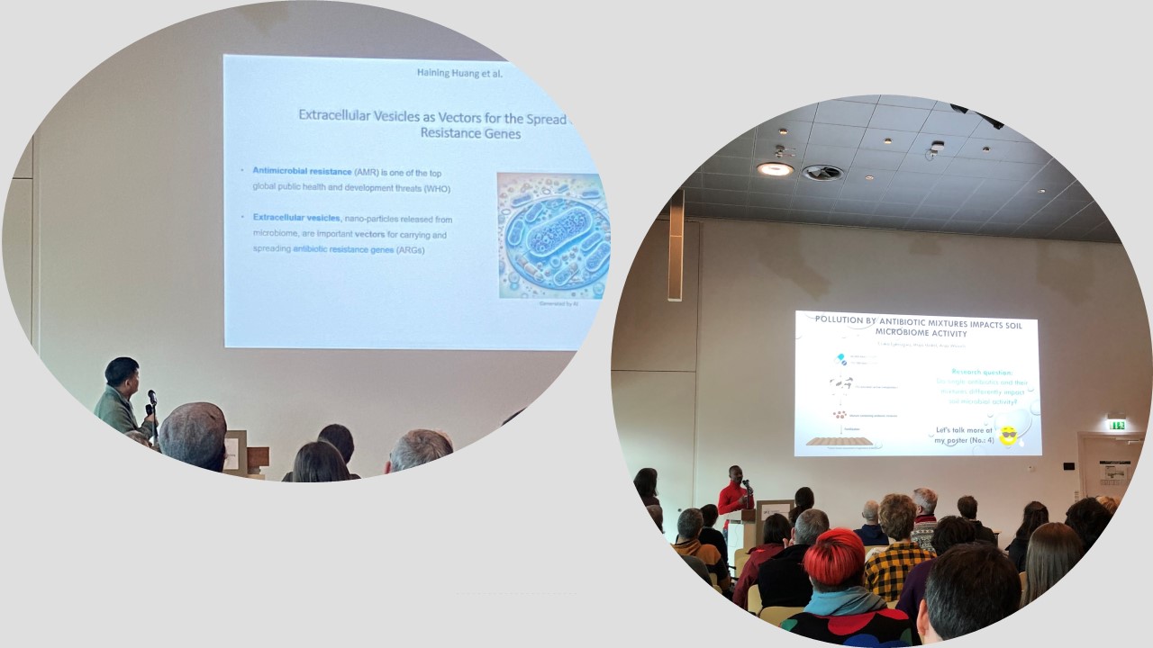 IP day Chika and Haining