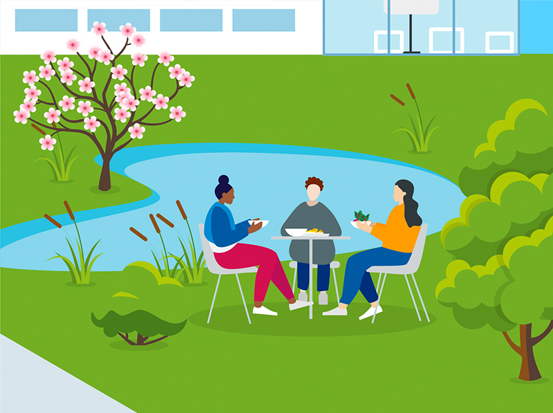 Section Illustration Campus