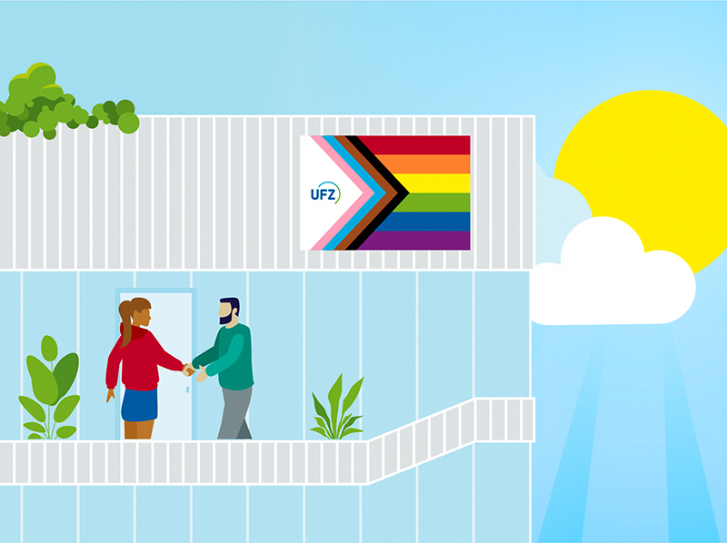 Section Illustration Diversity