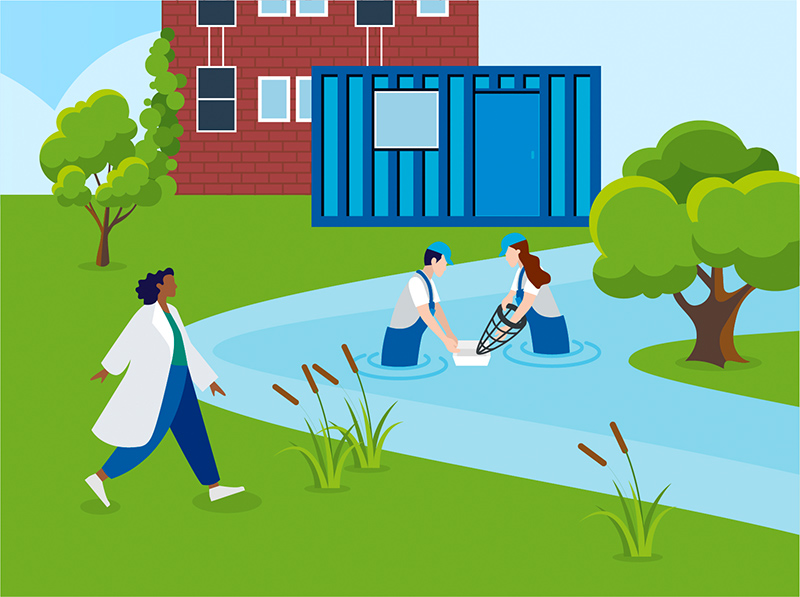 Section Illustration Research with impact