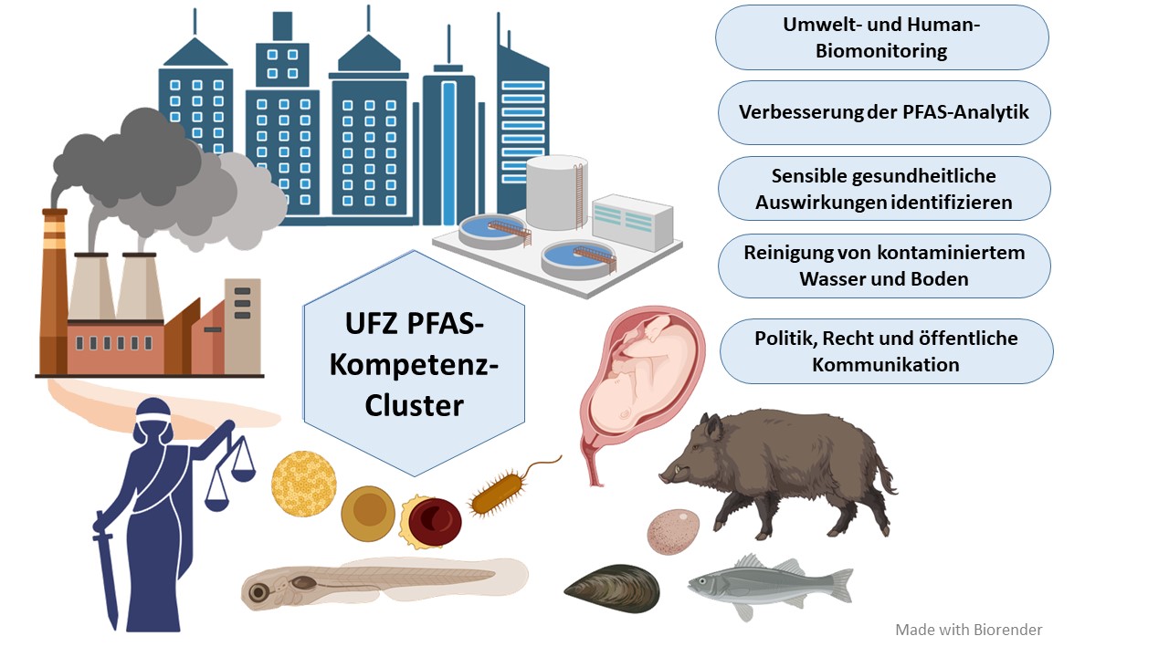 Illustration: PFAS-Forschung am UFZ. Source: UFZ, Tamara Tal