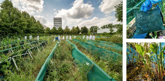 Leipzig artifical streams