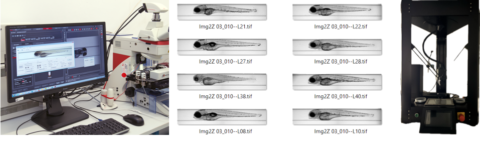 ZF_automated_imaging