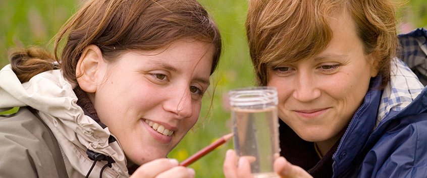 Freilandforschung. Foto: Andr&eacute; K&uuml;nzelmann/UFZ