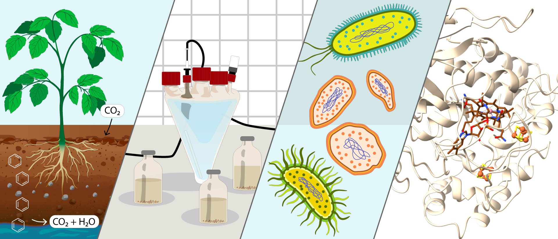 Molecular Environmental Biotechnology. Graphic: Antonia Hensel