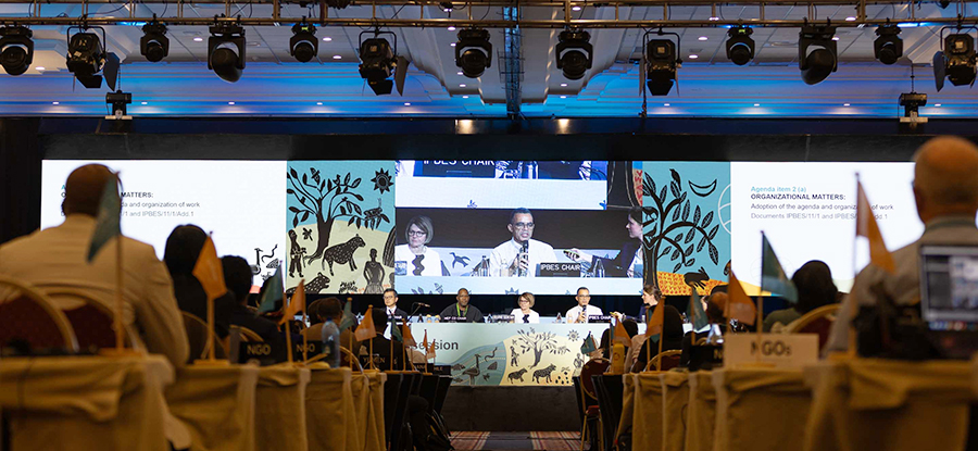 11. IPBES-Vollversammlung in Windhuk, Namibia / &copy; Kiara Worth