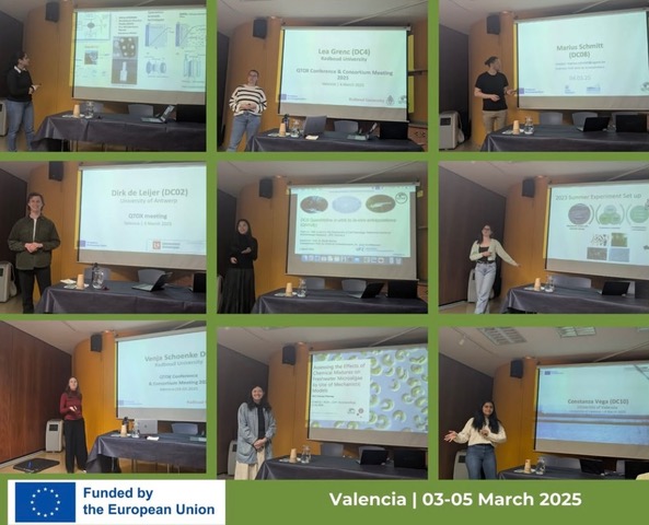 QTOX Meeting Valencia