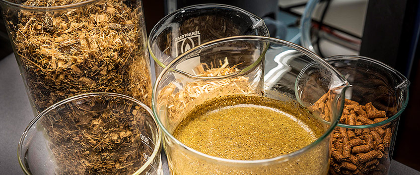 Bioenergie. Foto: Andr&eacute; K&uuml;nzelmann/UFZ