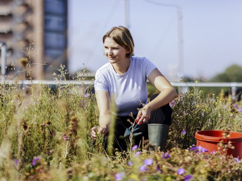 Picture Research at UFZ (Photo: Anne Schwerin)