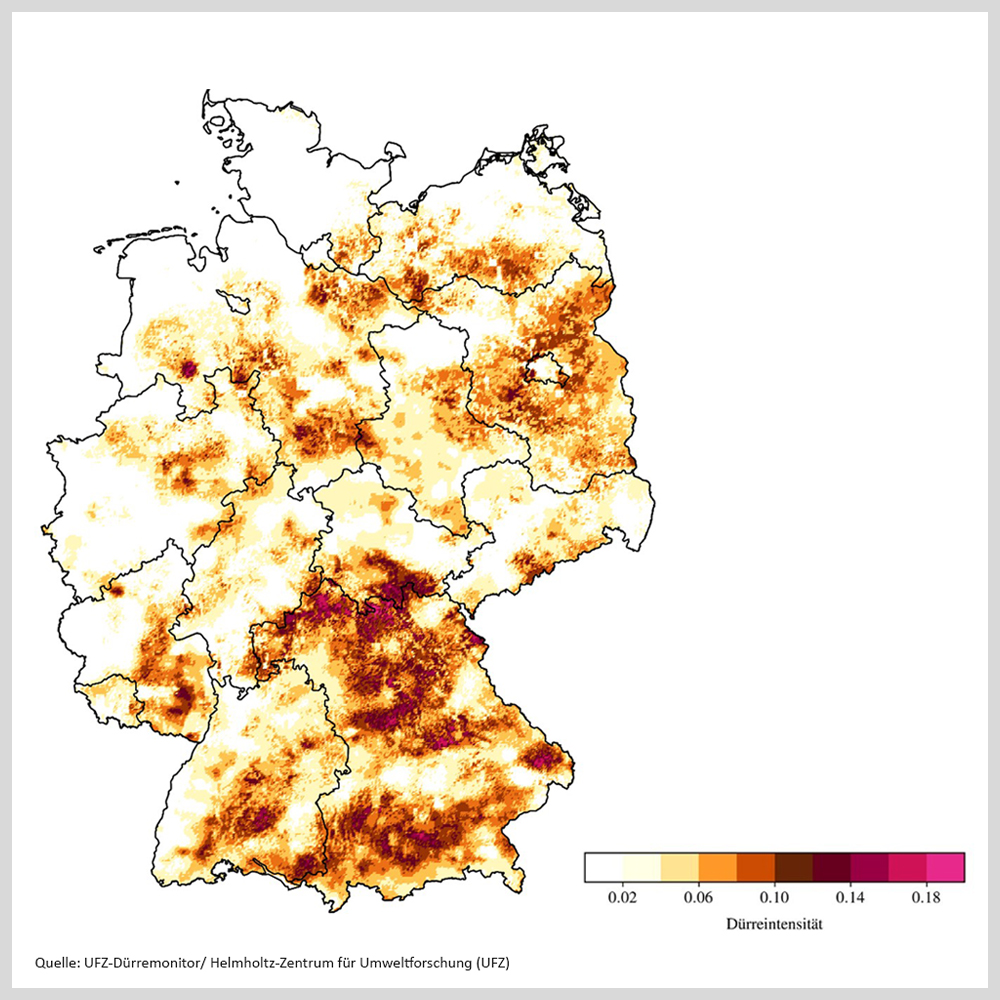 D&uuml;rreintensit&auml;t im Sommer 2025. Quellle: UFZ