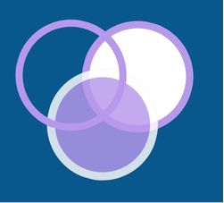 Symbol for intersectionality, overlapping circles.