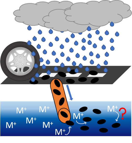 Potential deterioration of chemical water quality due to trace metal adsorption onto tire and road wear particles - Environmentally representative experiments