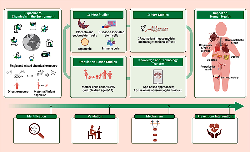 Department of Environmental Immunology