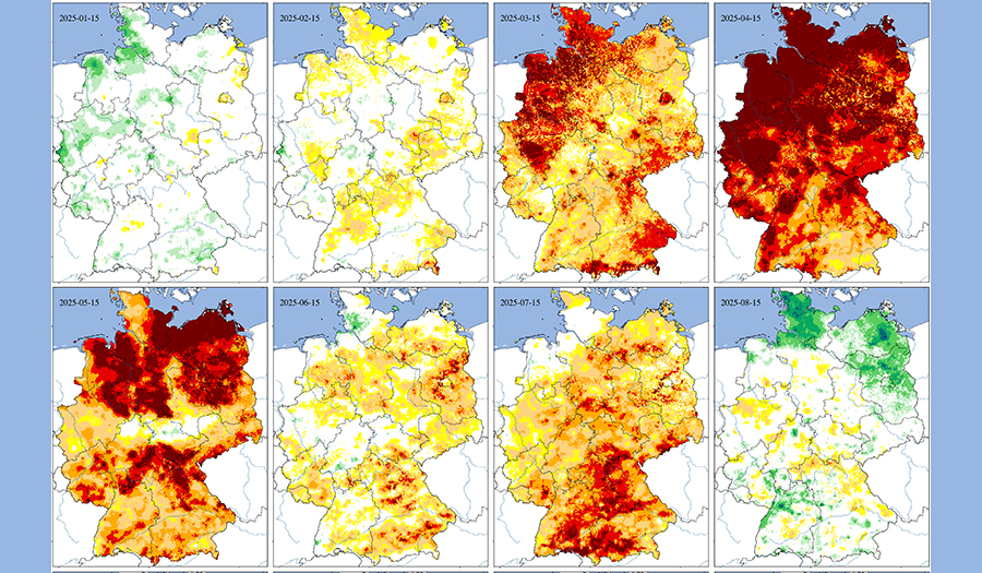 Ausschnitt-Bodenfeuchte_25cm_2025_D&uuml;rremonitor-UFZ_Hintergrundkarte: BKG. Quelle: webapp.ufz.de/wis-d