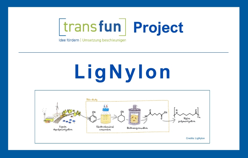 transfun&reg;-Projekt LigNylon