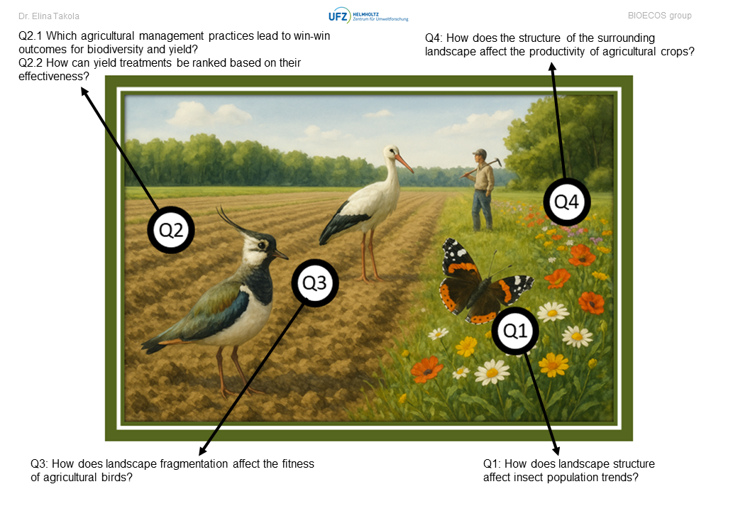 Overview of my research projects (AI-generated image)