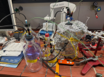 Continuous chain-elongation reactor cultivating a co-culture of Clostridium kluyveri and Methanobacterium congolense enriched from anaerobic digester sludge. The reactor continuously converts acetate and ethanol into butyrate and caproate.