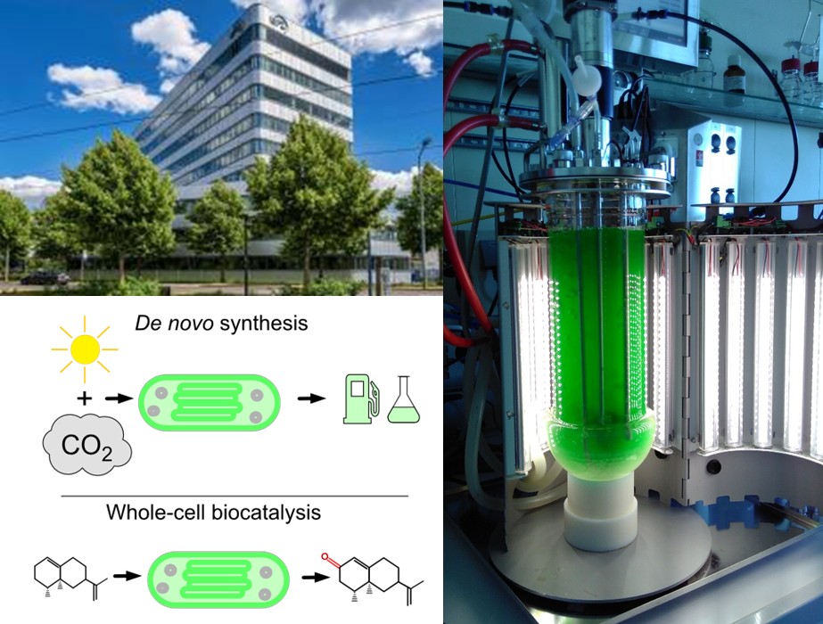 Photobiotechnology at the UFZ