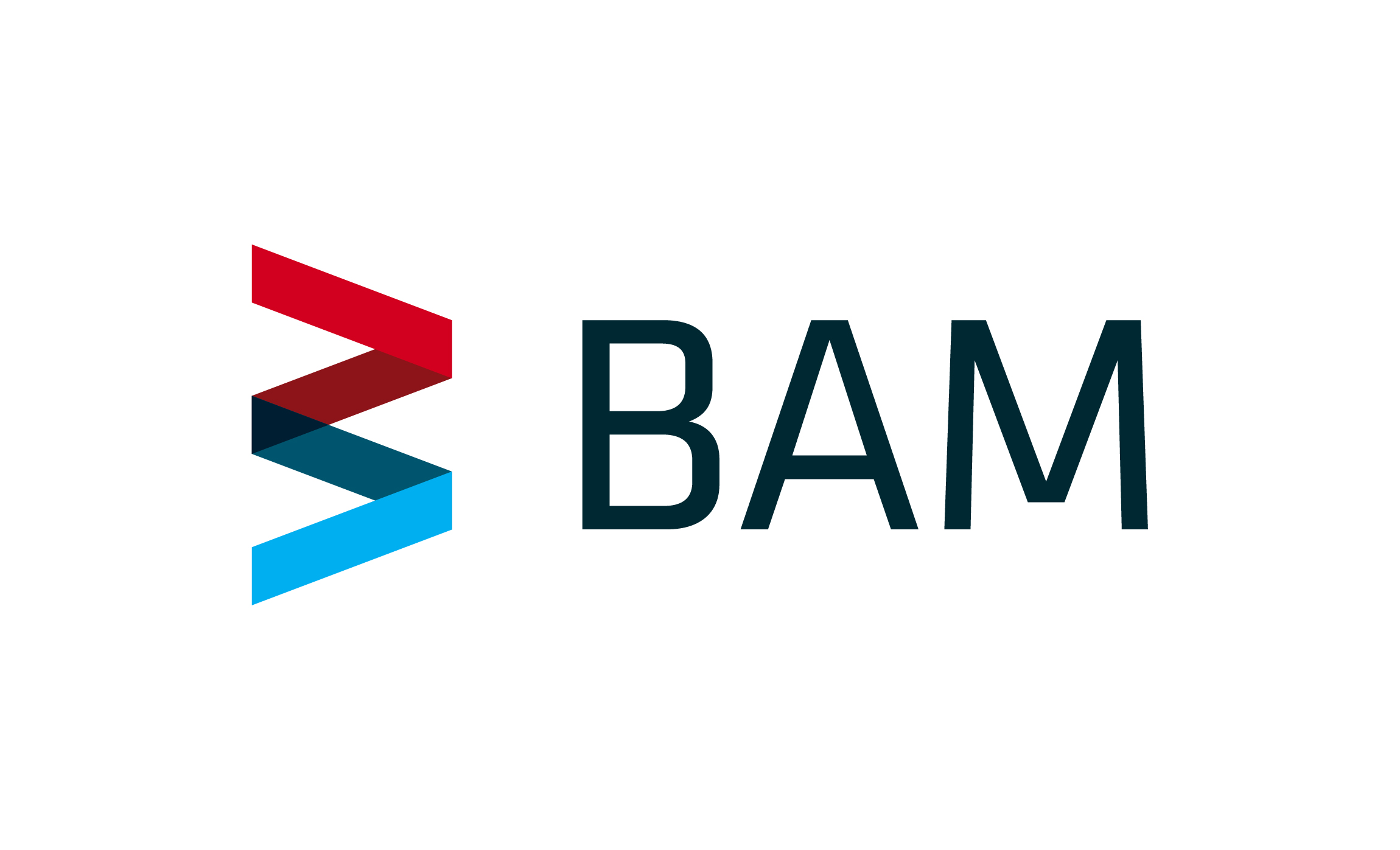 BAM_Logo_RGB