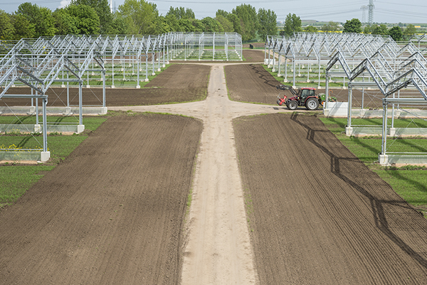Versuchsstation Bad Lauchst&auml;dt / GCEF. Foto: Andr&eacute; K&uuml;nzelmann/ UFZ