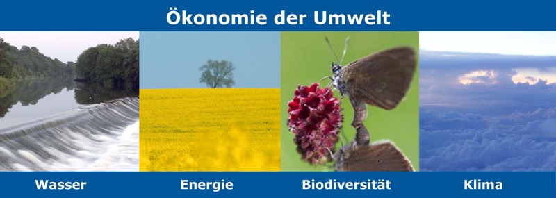 &Ouml;konomie der Umwelt - Wasser, Energie, Biodiversit&auml;t, Klima
