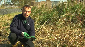 Neue Erde aus alten Schl&auml;mmen