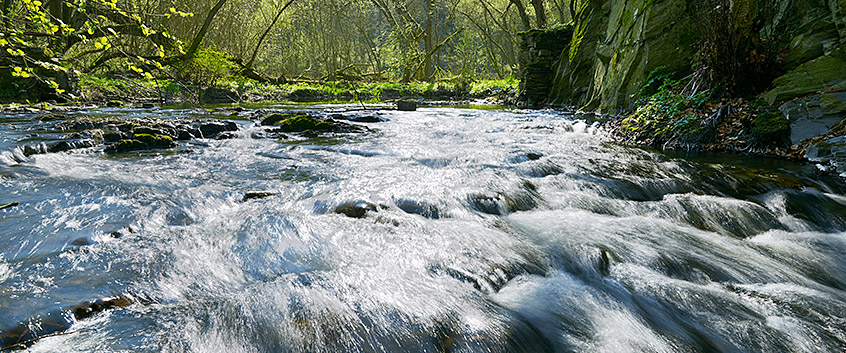 Nachhaltige Nutzung von Wasserressourcen; Foto: Andr&eacute; K&uuml;nzelmann/UFZ