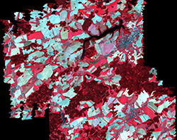 Startbild Biodiversit&auml;t; Foto: Andr&eacute; K&uuml;nzelmann/UFZ