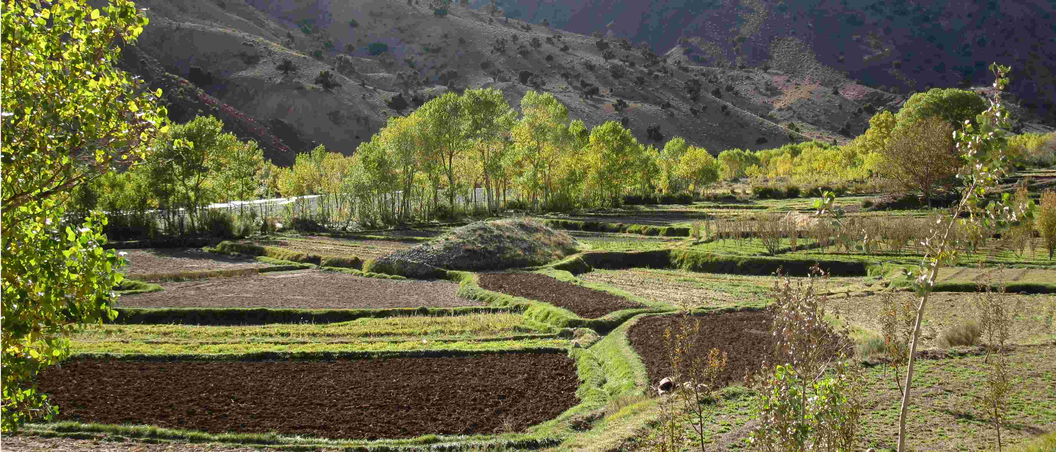 photo by Birgit M&uuml;ller