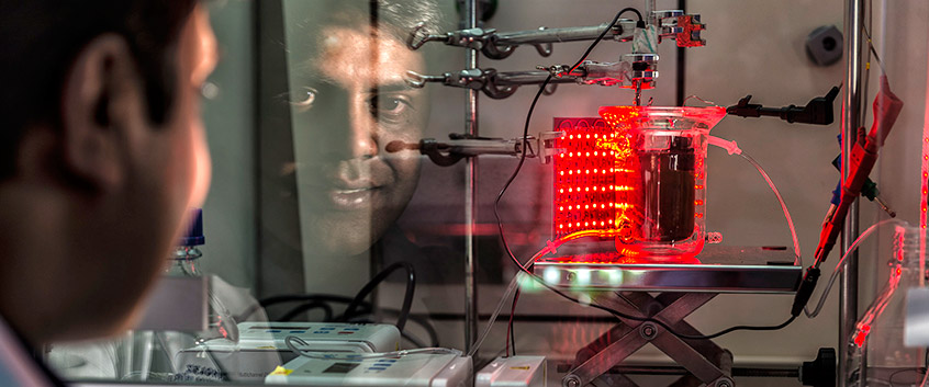 Solare Materialien. Foto: Andr&eacute; K&uuml;nzelmann/UFZ