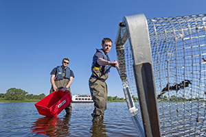 Fliessgew&auml;sserforschung an der Elbe. Foto: Andr&eacute; K&uuml;nzelmann/UFZ