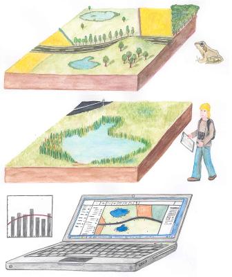 Populations&ouml;kologie