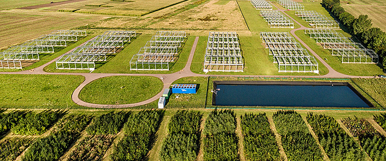 Forschungsinfrastruktur GCEF bei Bad Lauchstädt. Foto: André Künzelmann/UFZ