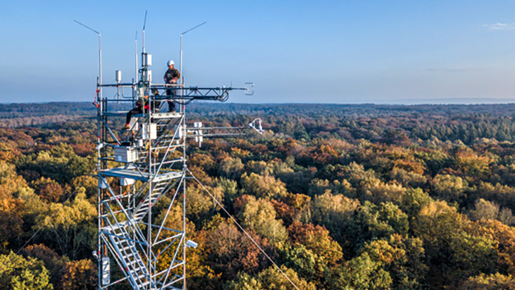 Messtower Hohes Holz. Foto: André Künzelmann/UFZ