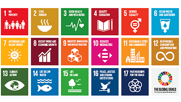 Illustration: UN SDG