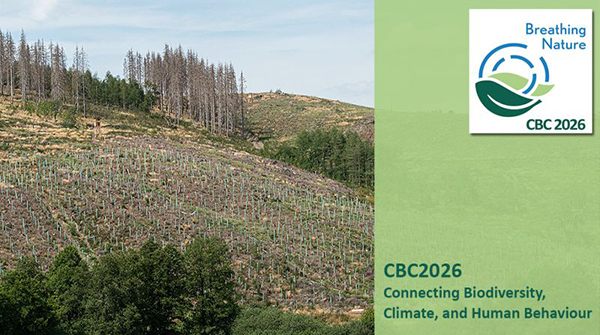 Illustration for the CBC 2026 - Forest and drought